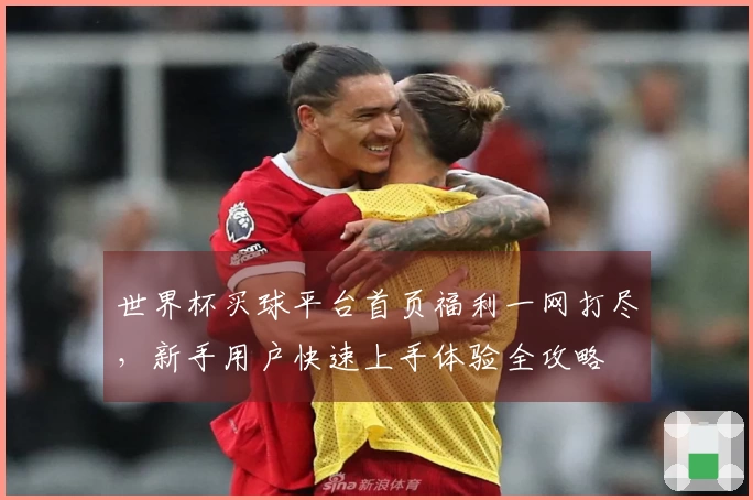 世界杯买球平台首页福利一网打尽，新手用户快速上手体验全攻略